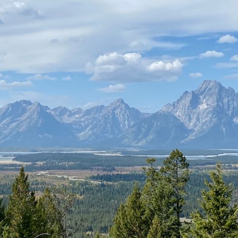Uinta Flat